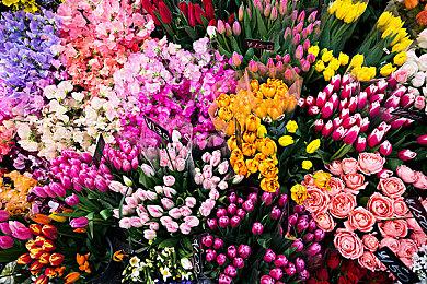 CDPR预测开发《2077》续作需要350-500名人员