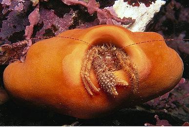 机甲JRPG《传继者》公布相关数据 20名可玩角色